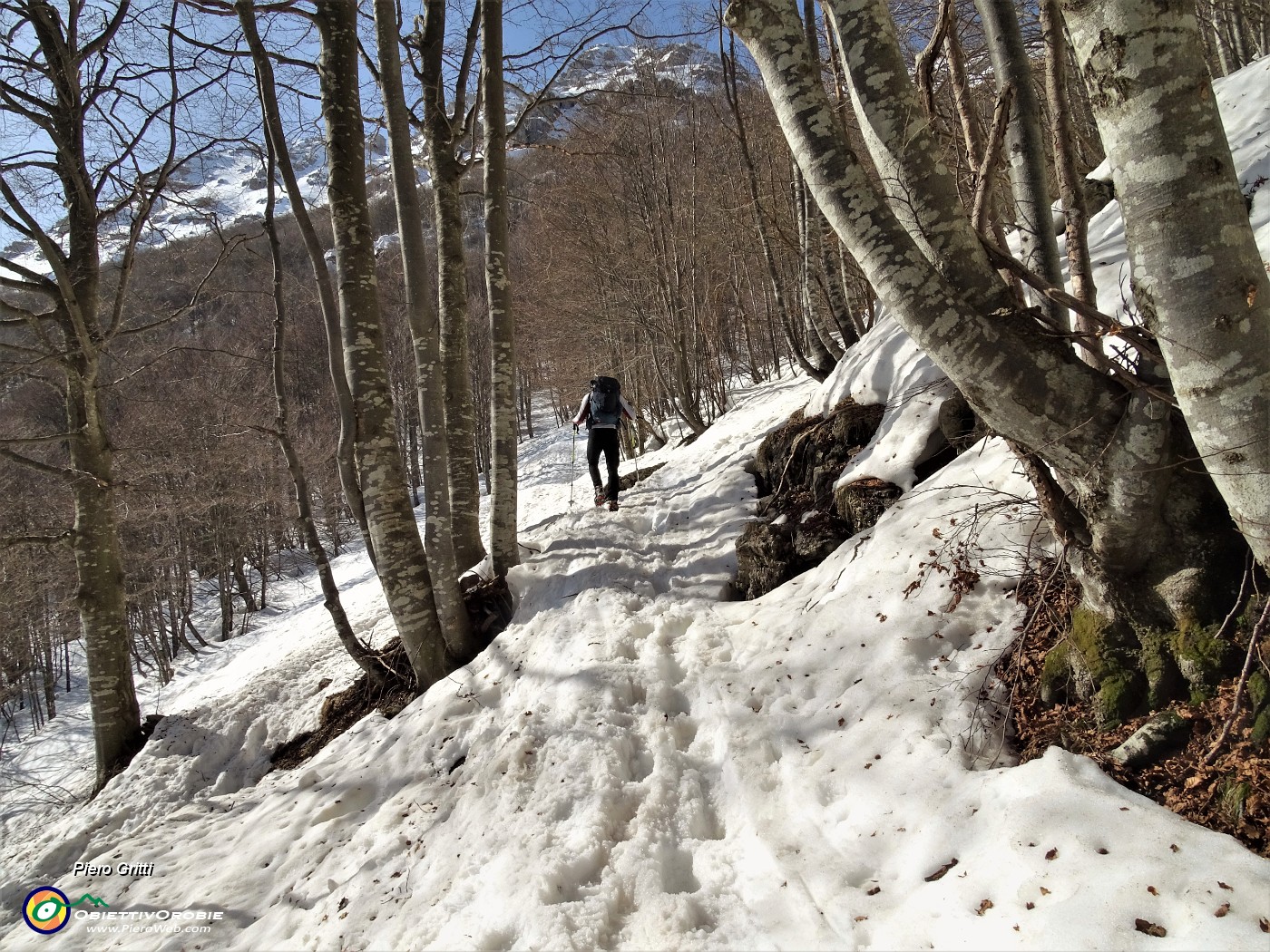 25  Senza saperlo siamo usciti dal normale 571 per seguire traccia battuta per direttissima sci-alpinistica.JPG